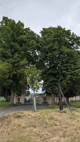 autor: Adéla Snížková
