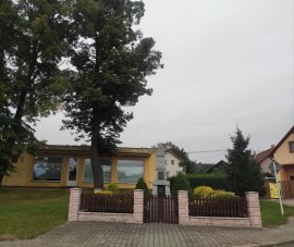 autor: Josef Pepito Vosyka 