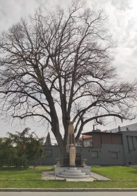 Úvodní fotografie pomníku s číslem 3788