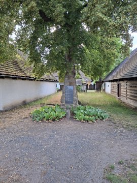 Úvodní fotografie pomníku s číslem 3817